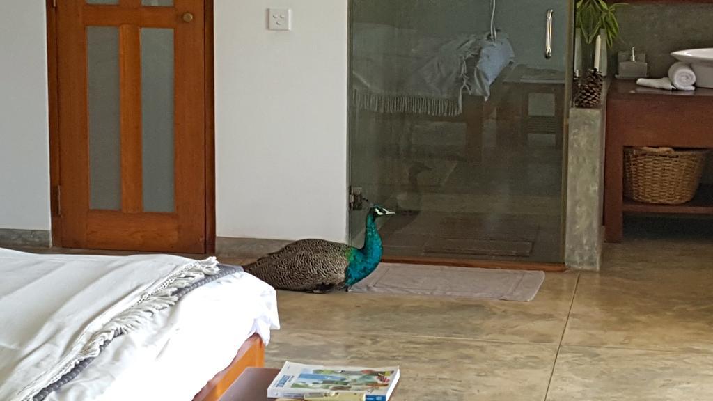 Highland Villa Weligama Zewnętrze zdjęcie