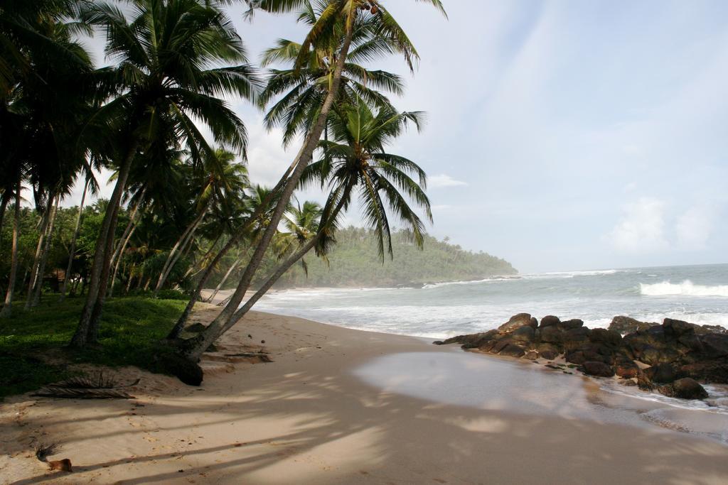 Highland Villa Weligama Zewnętrze zdjęcie